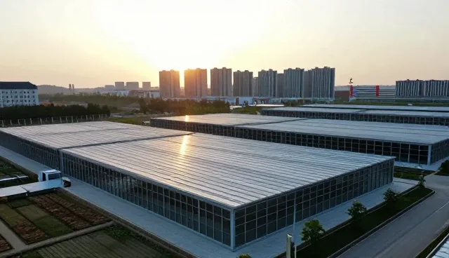短视频拍摄在活动策划执行中的关键应用场景分析